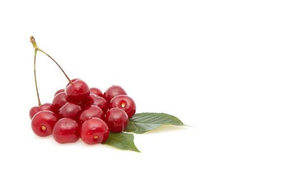 Cherries on a whiteground. — Stock Photo, Image