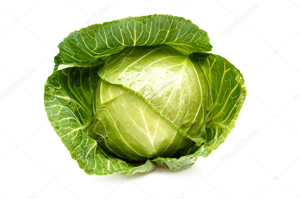 Cabbage isolated on a whiteground.