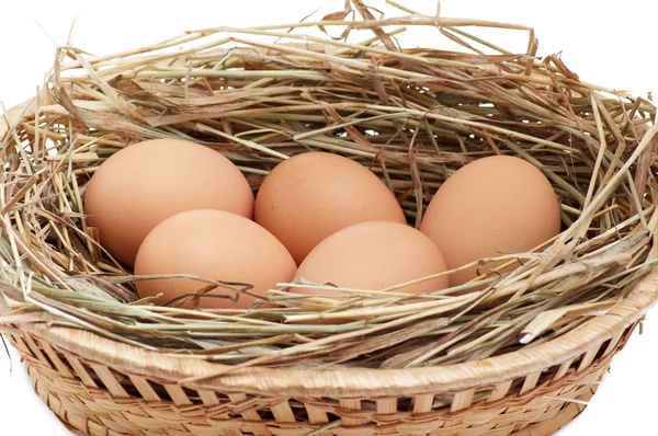 stock image Chicken eggs in the brown basket and hay