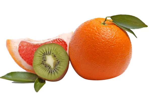 Citrusfrukter på en vit. — Stockfoto