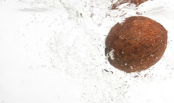 stock image Shaggy,tasty coconut in water.