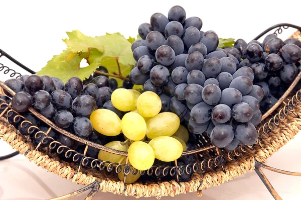 Trossen van druiven in mand. — Stockfoto
