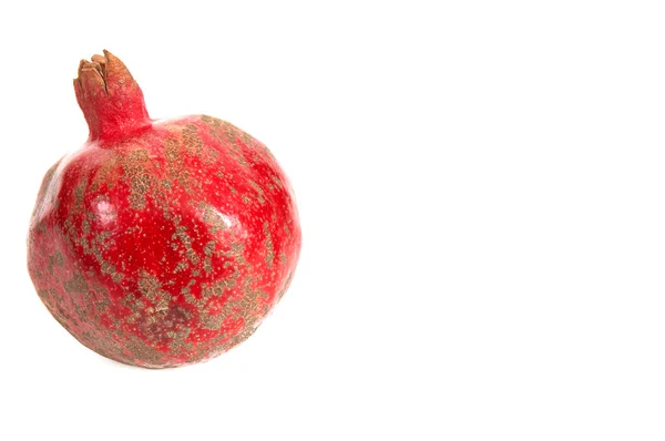 Jedna z granátového jablka. — Stock fotografie