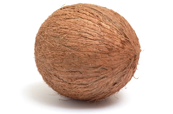 One coconut on a white background. — Stock Photo, Image