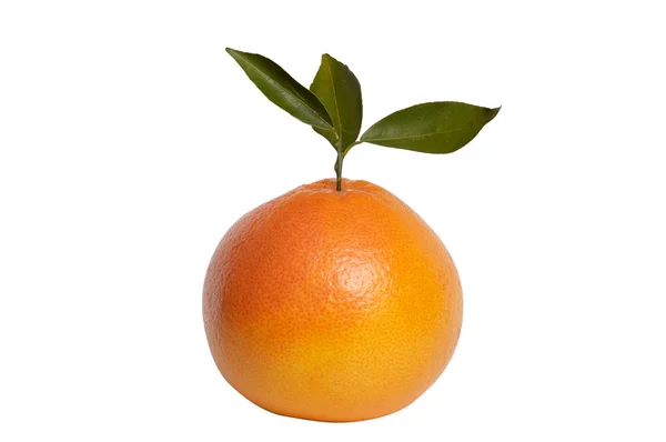 Orange and leaves on a white background. — Stock Photo, Image