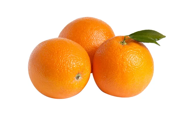 Três laranjas em um branco . — Fotografia de Stock