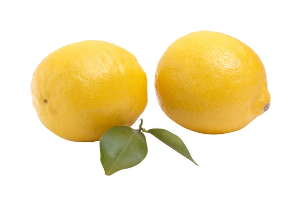Két lédús citrom, fehér alapon. — Stock Fotó