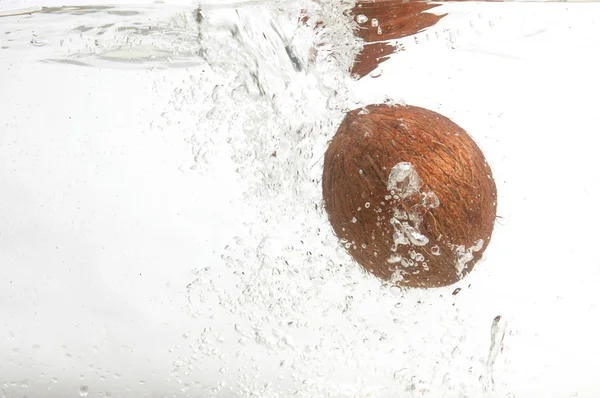 stock image Alone shaggy coconut in water.