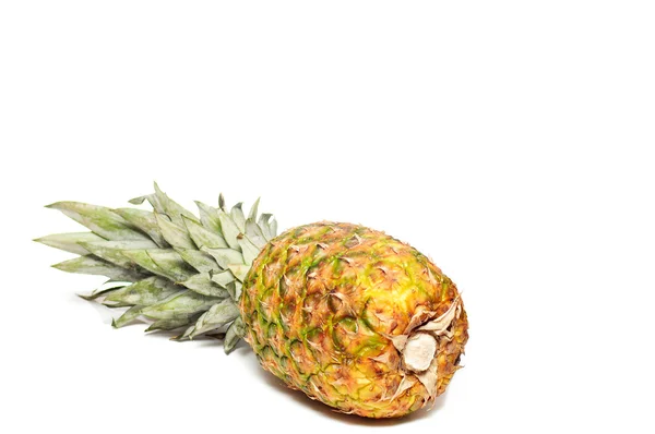 Delicious two fresh ripe pineapples iso — Stock Photo, Image