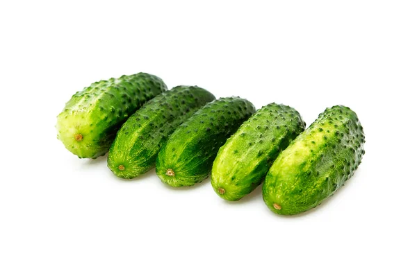 Cucumbers isolated on a whiteground. — Stock Photo, Image
