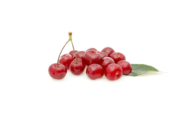 Cherries isolated on a whiteground. — Stock Photo, Image