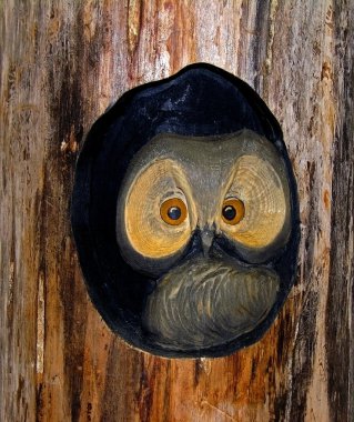 Wooden owl. clipart