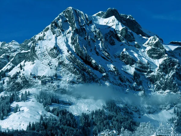 Alpiner Berg. — Stockfoto