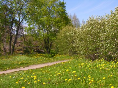 Bahar yol.