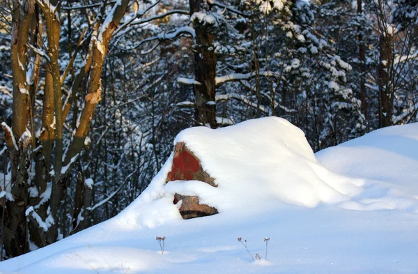 Kámen v zimním lese. — Stock fotografie