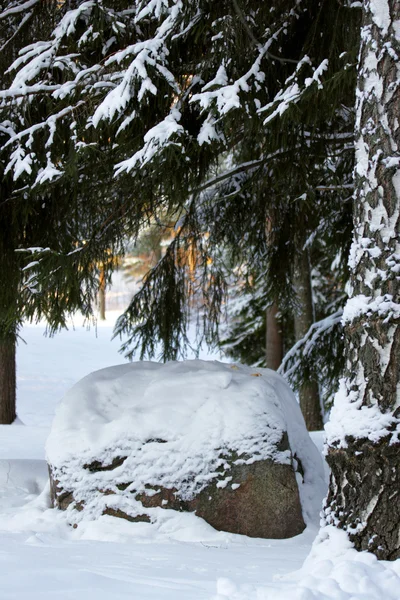 Stone in winter forest. — Stock Photo, Image
