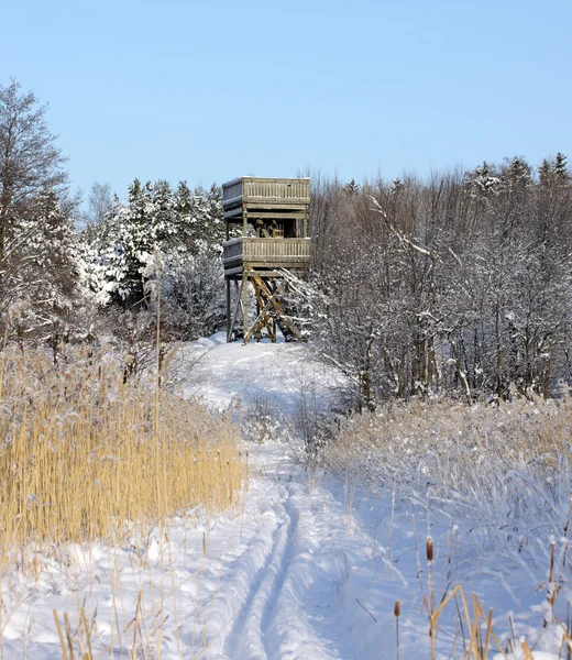 Орнитологическая башня Хельсинки . — стоковое фото
