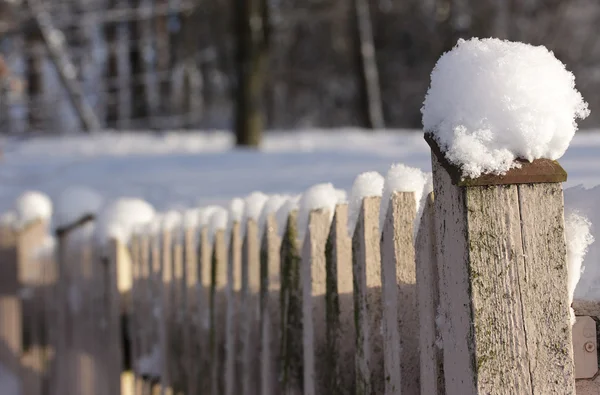 Vintern staket. — Stockfoto