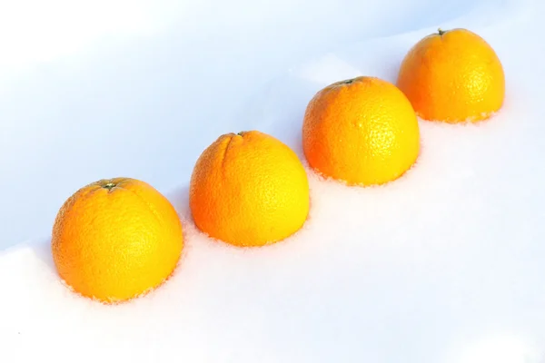 Orangen auf Schnee. lizenzfreie Stockfotos