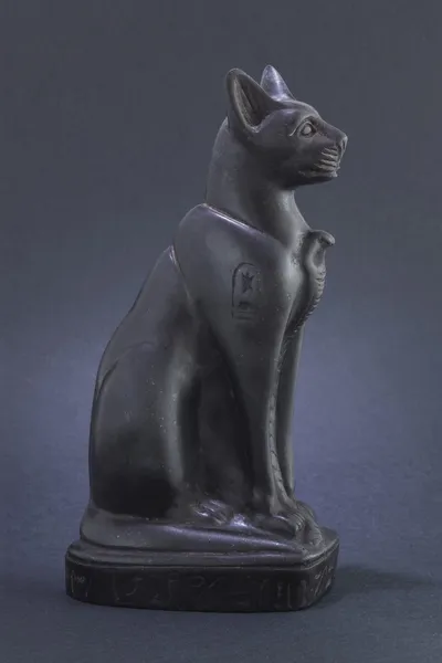 Negro egipcio gato — Foto de Stock