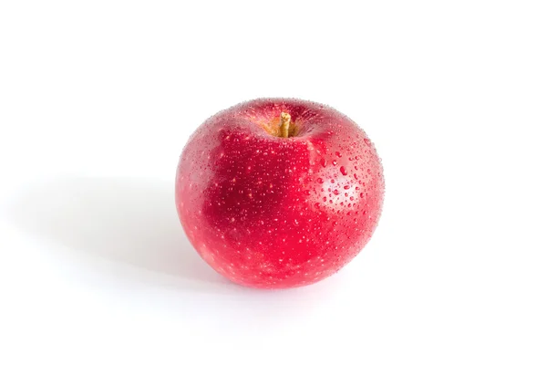 stock image Red apple with drops of water