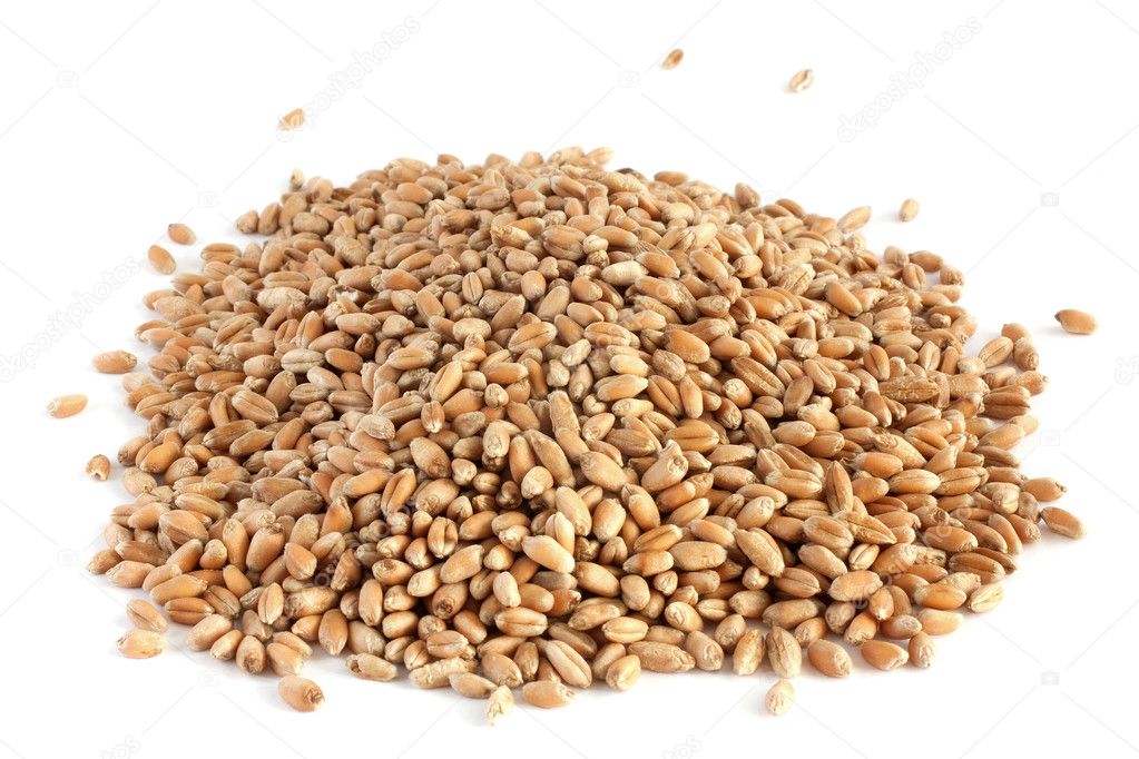 Wheat grain 2