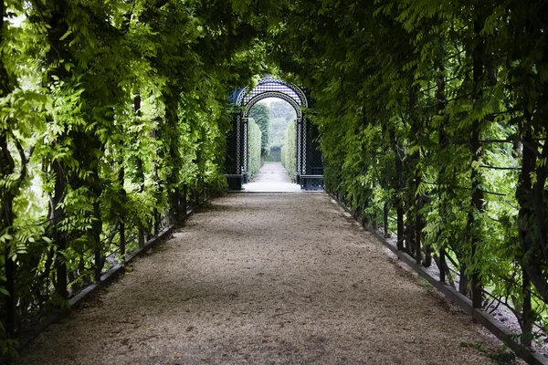 stock image Greenhouse