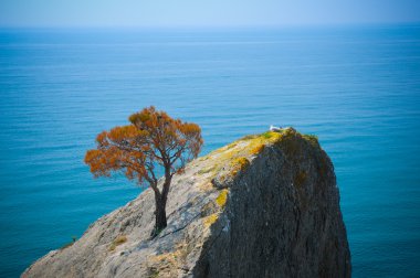 deniz-parça