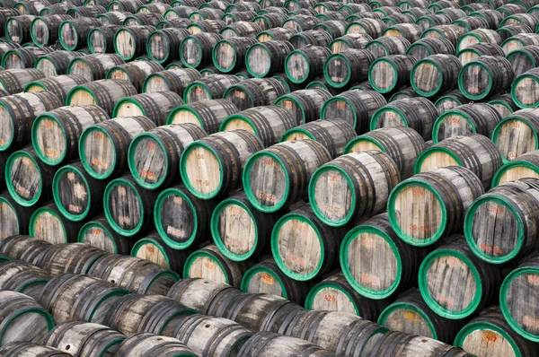 Many barrels — Stock Photo, Image