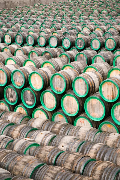 Barrels with wine — Stock Photo, Image