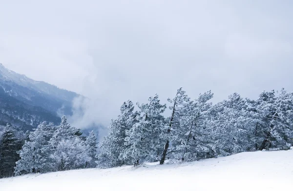 Χειμώνα βουνά — Φωτογραφία Αρχείου