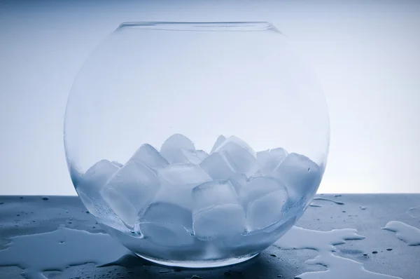 Kawałki lodu — Zdjęcie stockowe