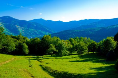 Carpathians in summertime of year clipart