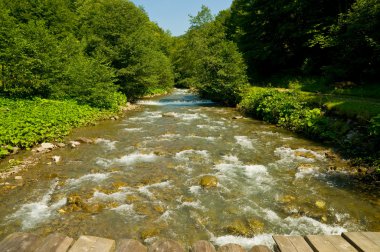 Dağ nehri