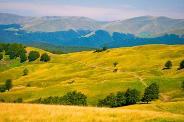 Ukraine Carpathian Mountain clipart