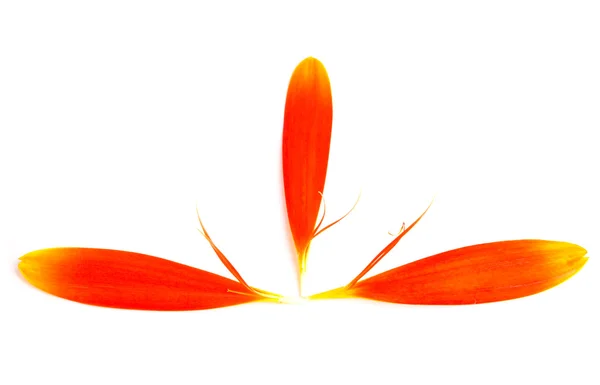 stock image Three petals