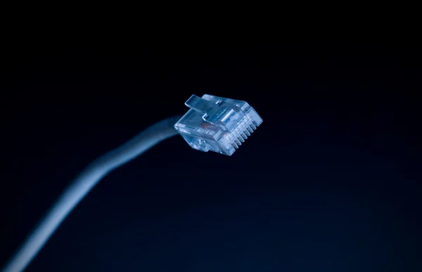 Netwerk kabel — Stockfoto