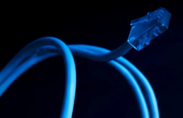 Netwerk kabel — Stockfoto