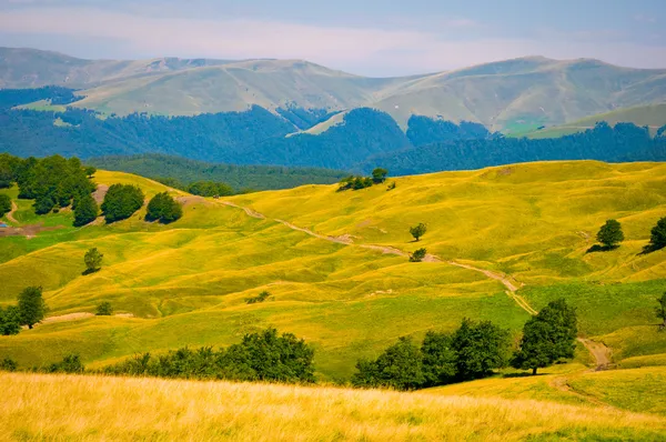 Ukraina carpathian berg Stockbild