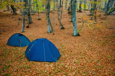 Tent in a forests campsite clipart
