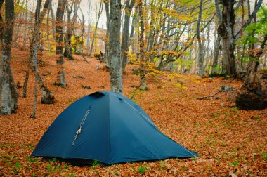 Tent in the autumn forest clipart