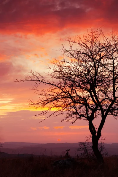 Beautiful sunrise — Φωτογραφία Αρχείου