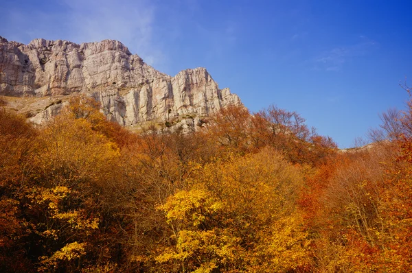 Sonbahar kaya — Stok fotoğraf