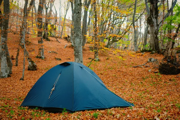 Tent in the autumn forest — Stock Photo, Image