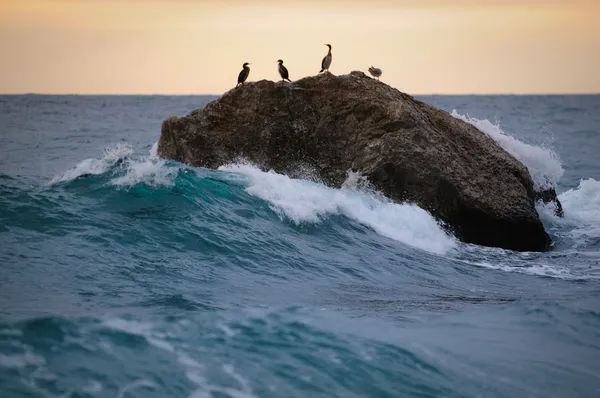 Una roca en el mar — Foto de Stock