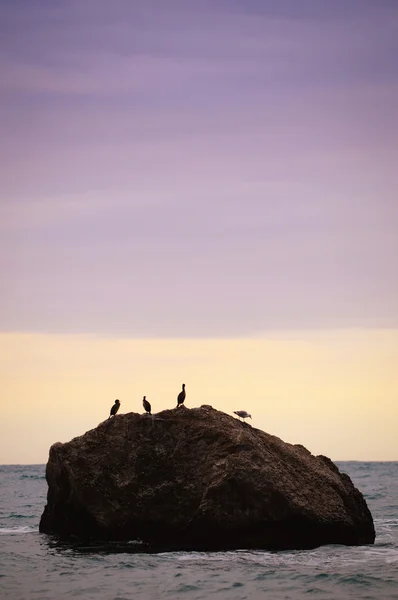 Stone in the sea — Stock Photo, Image