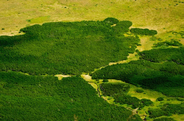 stock image Landscape with aerial