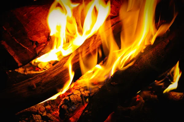Fuego de madera —  Fotos de Stock