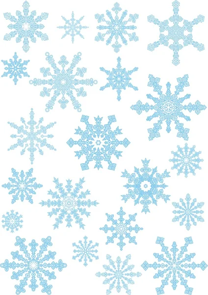Collection of the snowflakes — Stock Vector