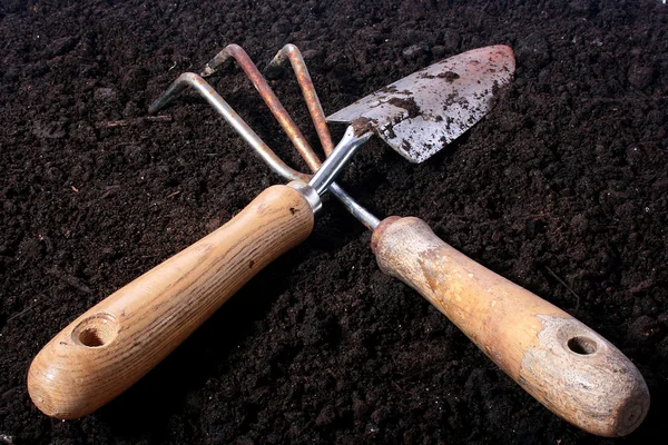 Маленькие грабли и лопаты — стоковое фото